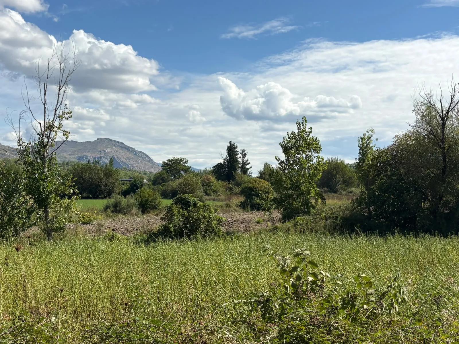 10.500 m2 zum Verkauf Feld In Köyceğiz Zeytinalanı