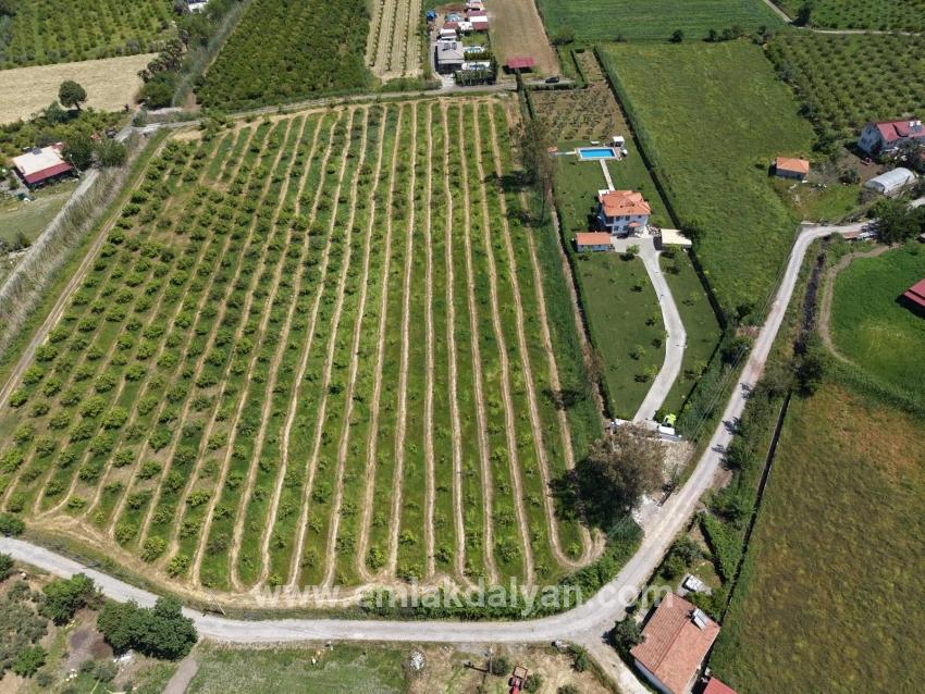 5100 M² Großes Grundstück In Der Nähe Des Stadtzentrums Von Dalyan Zu Verkaufen.