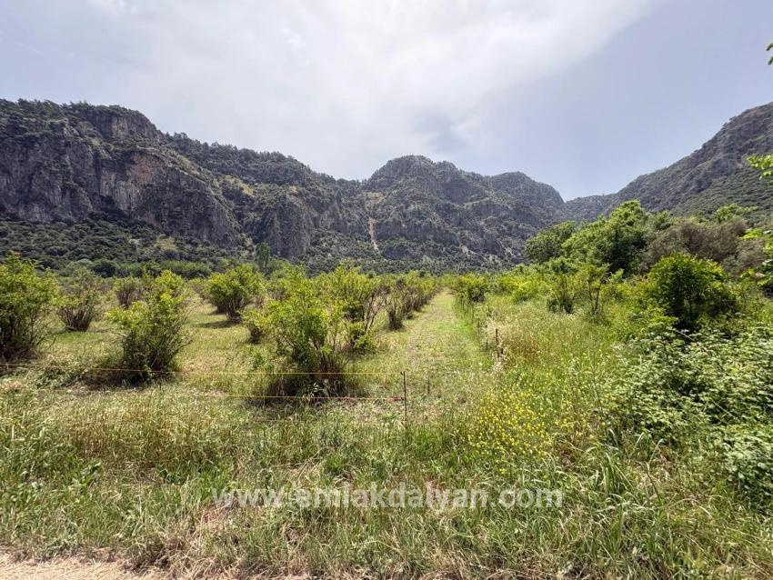 Land Zu verkaufen in Okçular Bz. Ortaca - Gehäuse-Zonierung - 2.100 m²