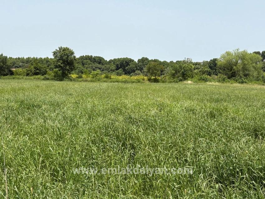 Land Zu verkaufen in Okçular Bz. Ortaca - Gehäuse-Zonierung - 2.390 m²