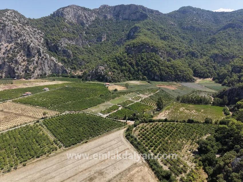 Feld Zu verkaufen in Dalyan Bz. Ortaca - Feld-Zonierung - 20.786 m²
