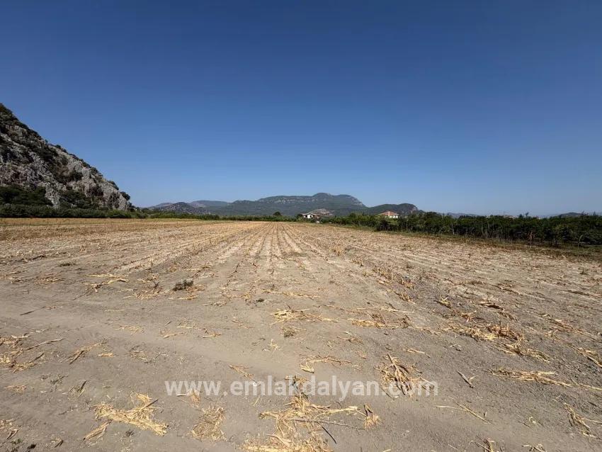Feld Zu verkaufen in Dalyan Bz. Ortaca - Feld-Zonierung - 20.786 m²
