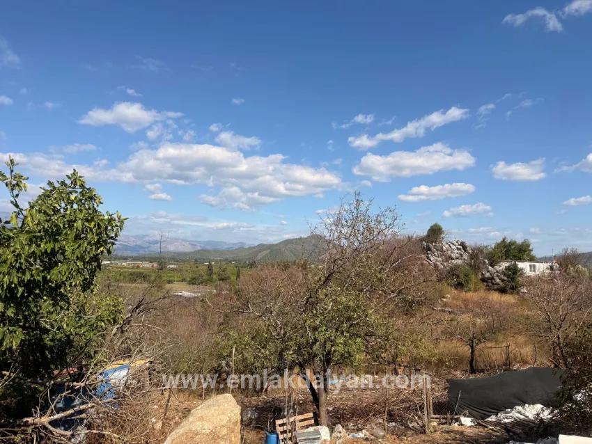 Feld Zu verkaufen in Dalyan Bz. Ortaca - Feld-Zonierung - 5.000 m²