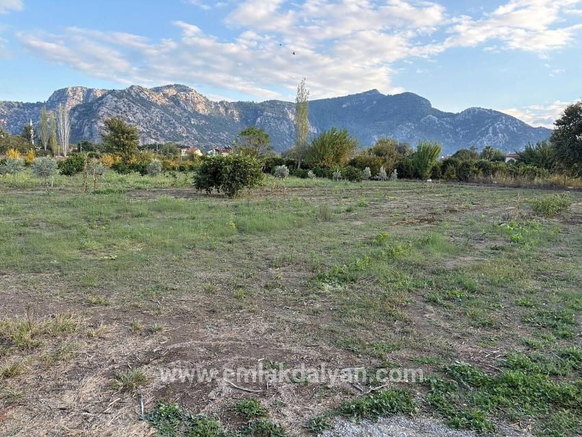 Land Zu verkaufen in Dalyan Bz. Ortaca - Gehäuse-Zonierung - 7.450 m²
