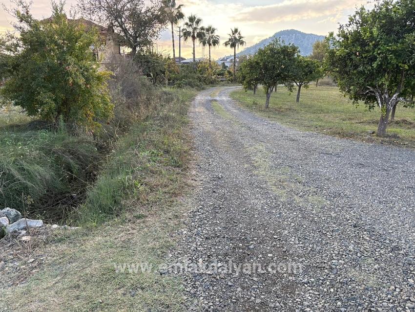 Land Zu verkaufen in Dalyan Bz. Ortaca - Gehäuse-Zonierung - 7.450 m²