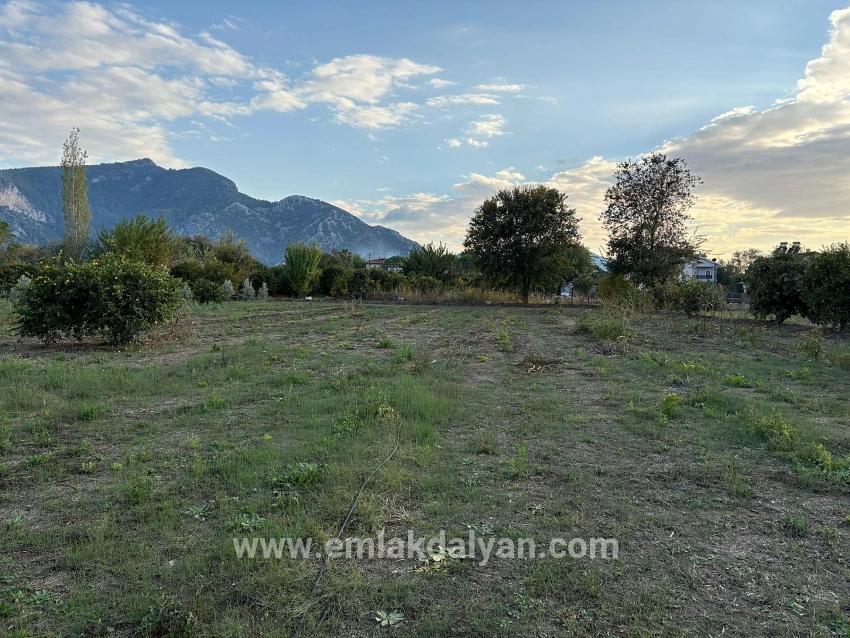 Land Zu verkaufen in Dalyan Bz. Ortaca - Gehäuse-Zonierung - 7.450 m²