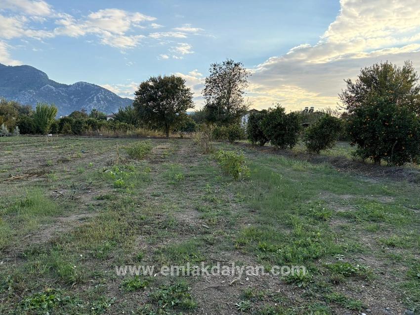 Land Zu verkaufen in Dalyan Bz. Ortaca - Gehäuse-Zonierung - 7.450 m²
