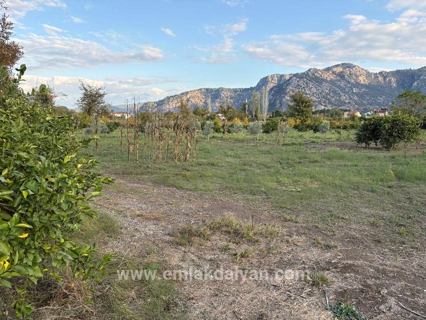 Land Zu verkaufen in Dalyan Bz. Ortaca - Gehäuse-Zonierung - 7.450 m²