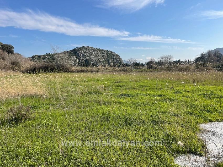 Land Zu verkaufen in Dalyan Bz. Ortaca - Gehäuse-Zonierung - 6.800 m²