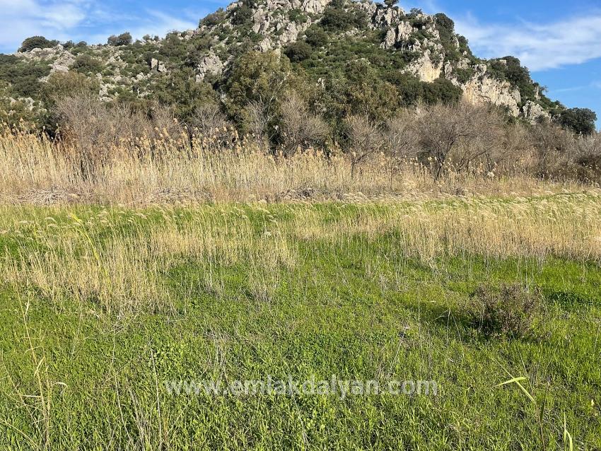 Land Zu verkaufen in Dalyan Bz. Ortaca - Gehäuse-Zonierung - 6.800 m²