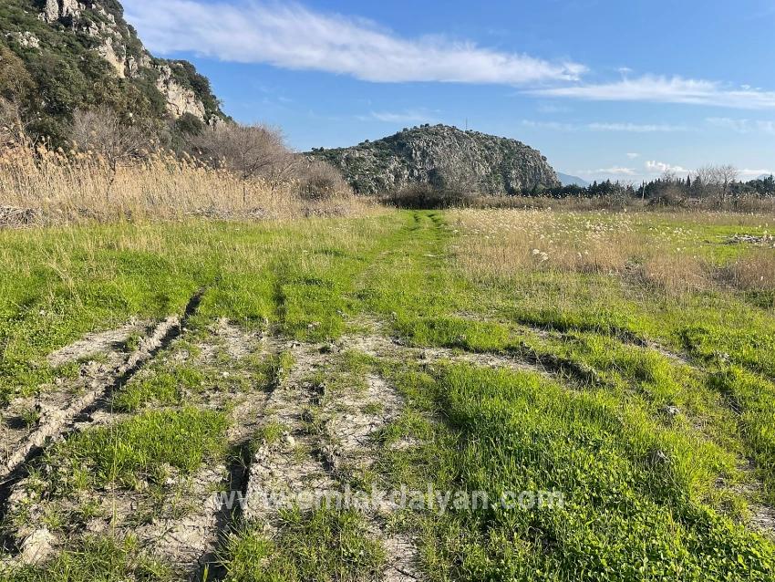 Land Zu verkaufen in Dalyan Bz. Ortaca - Gehäuse-Zonierung - 6.800 m²