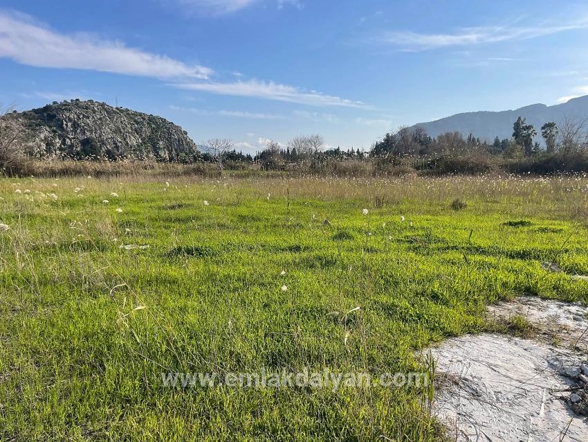 Land Zu verkaufen in Dalyan Bz. Ortaca - Gehäuse-Zonierung - 6.800 m²
