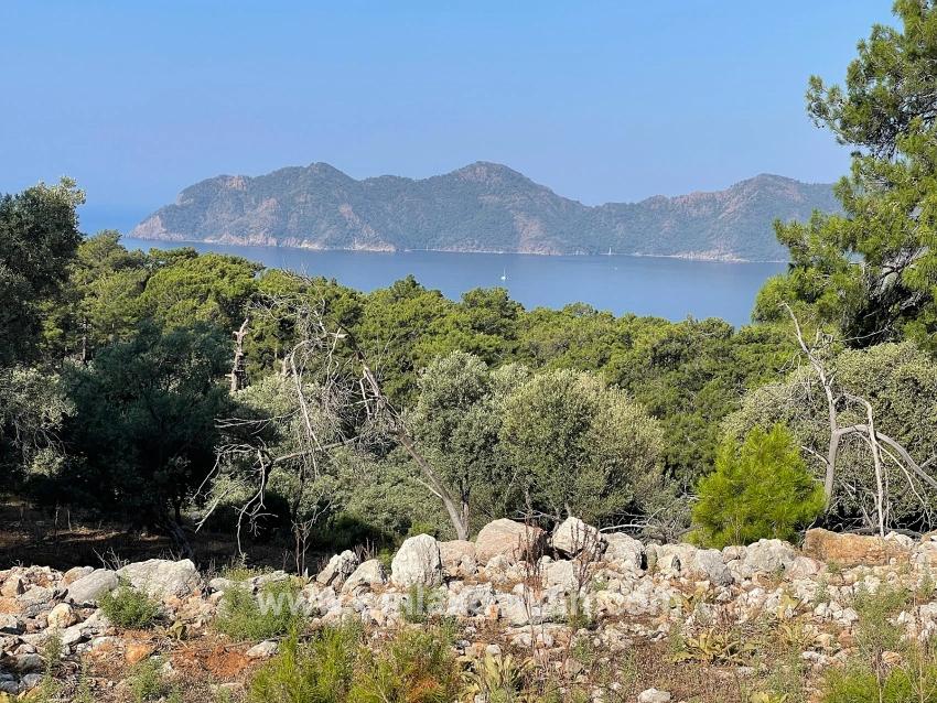 Feld Zu verkaufen in Çandır Bz. Köyceğiz - Gehäuse-Zonierung - 10.481 m²