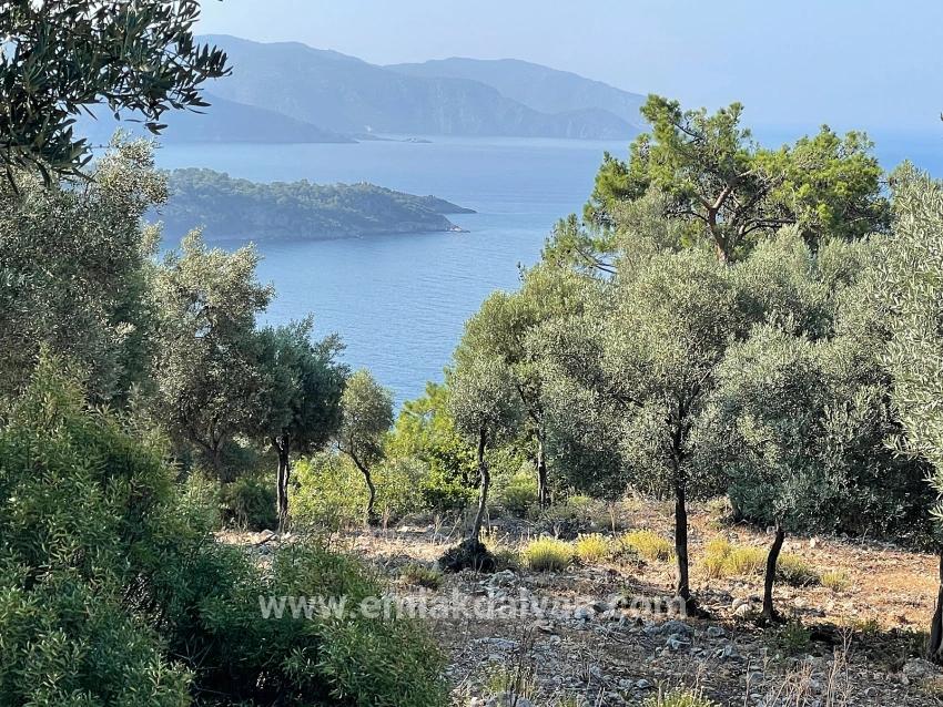 Feld Zu verkaufen in Çandır Bz. Köyceğiz - Gehäuse-Zonierung - 10.481 m²