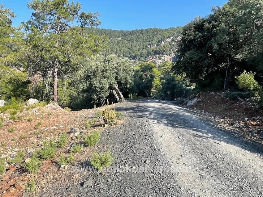 Feld Zu verkaufen in Çandır Bz. Köyceğiz - Gehäuse-Zonierung - 10.481 m²