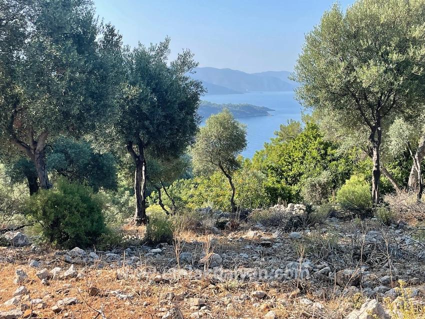 Feld Zu verkaufen in Çandır Bz. Köyceğiz - Gehäuse-Zonierung - 10.481 m²