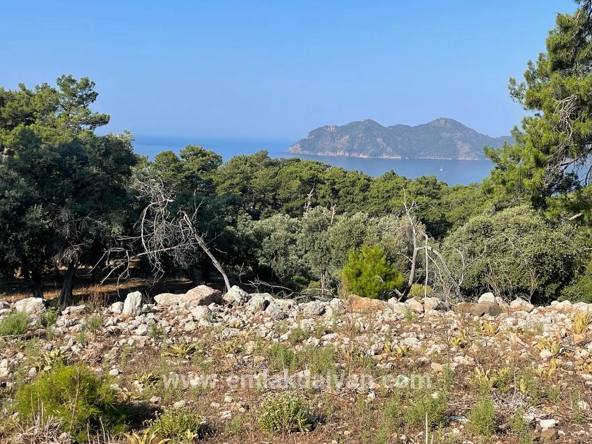 Feld Zu verkaufen in Çandır Bz. Köyceğiz - Gehäuse-Zonierung - 10.481 m²