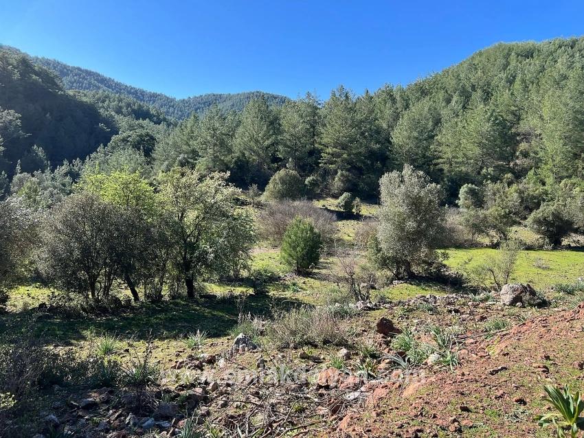 Grundstück Zum Verkauf In Gökbel, Umgeben Von Natur Und Wald.