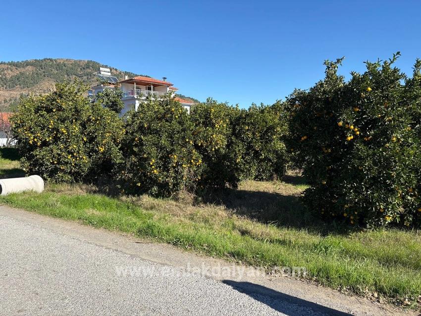 Land Zu verkaufen in Ekşiliyurt Bz. Ortaca - Gehäuse-Zonierung - 1.085 m²