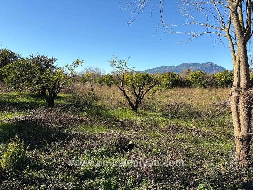 Land Zu verkaufen in Ekşiliyurt Bz. Ortaca - Gehäuse-Zonierung - 1.085 m²