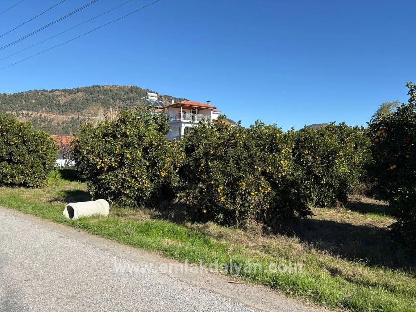 Land Zu verkaufen in Ekşiliyurt Bz. Ortaca - Gehäuse-Zonierung - 1.085 m²