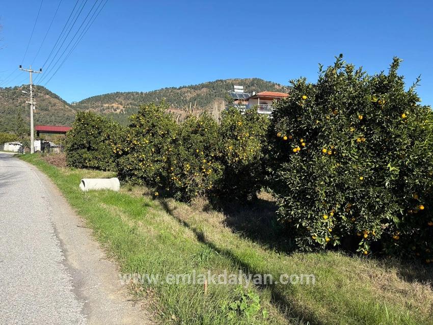Land Zu verkaufen in Ekşiliyurt Bz. Ortaca - Gehäuse-Zonierung - 1.085 m²