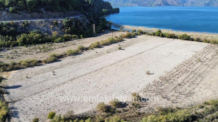 Feld Zu verkaufen in Sultaniye Bz. Köyceğiz - Feld-Zonierung - 3.210 m²