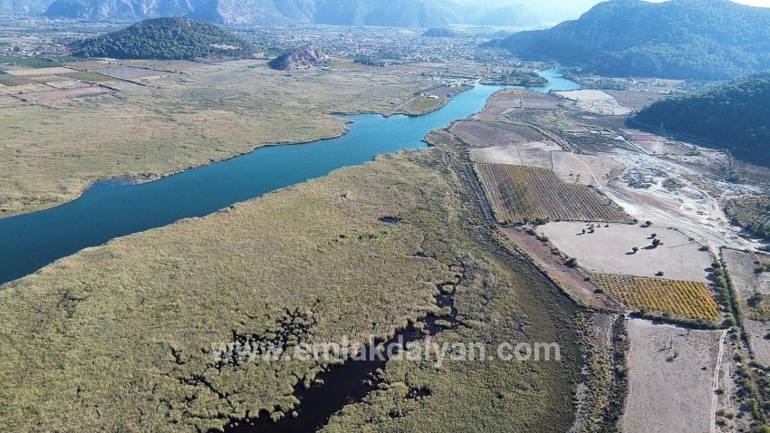 Feld Zu verkaufen in Sultaniye Bz. Köyceğiz - Feld-Zonierung - 3.210 m²