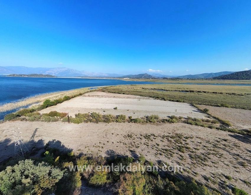Feld Zu verkaufen in Sultaniye Bz. Köyceğiz - Feld-Zonierung - 3.210 m²