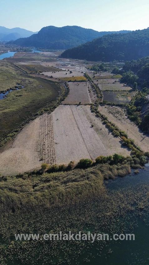 Feld Zu verkaufen in Sultaniye Bz. Köyceğiz - Feld-Zonierung - 3.210 m²
