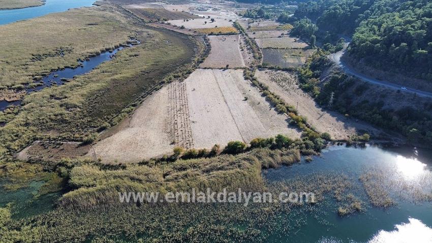 Feld Zu verkaufen in Sultaniye Bz. Köyceğiz - Feld-Zonierung - 3.210 m²