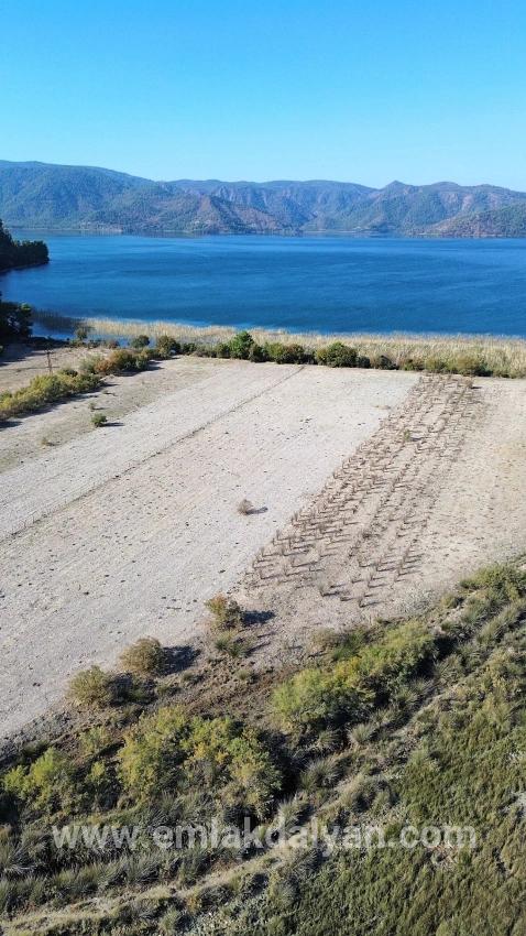 Feld Zu verkaufen in Sultaniye Bz. Köyceğiz - Feld-Zonierung - 3.210 m²