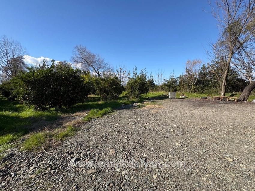 Land Zu verkaufen in Okçular Bz. Ortaca - Gehäuse-Zonierung - 4.326 m²