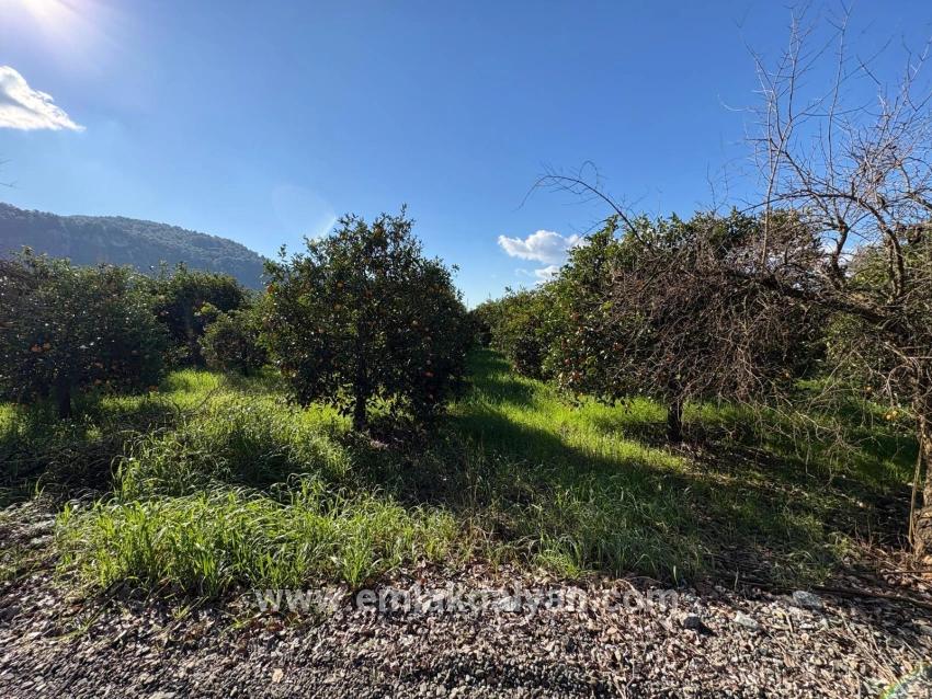 Land Zu verkaufen in Okçular Bz. Ortaca - Gehäuse-Zonierung - 4.326 m²