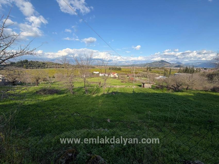 Feld Zu verkaufen in Dalyan Bz. Ortaca - Feld-Zonierung - 11.230 m²