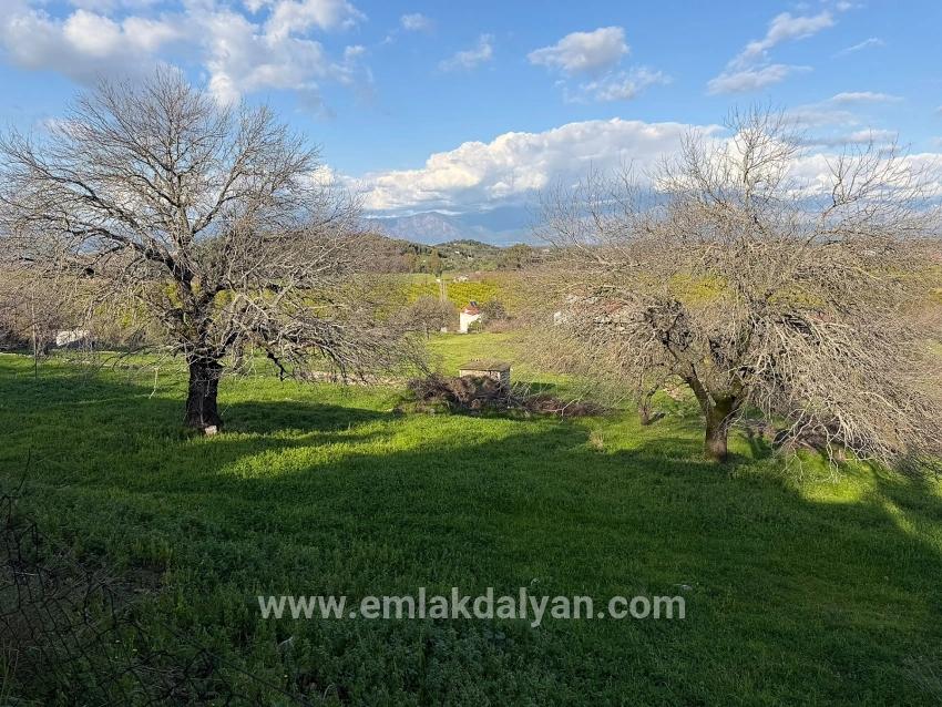 Feld Zu verkaufen in Dalyan Bz. Ortaca - Feld-Zonierung - 11.230 m²