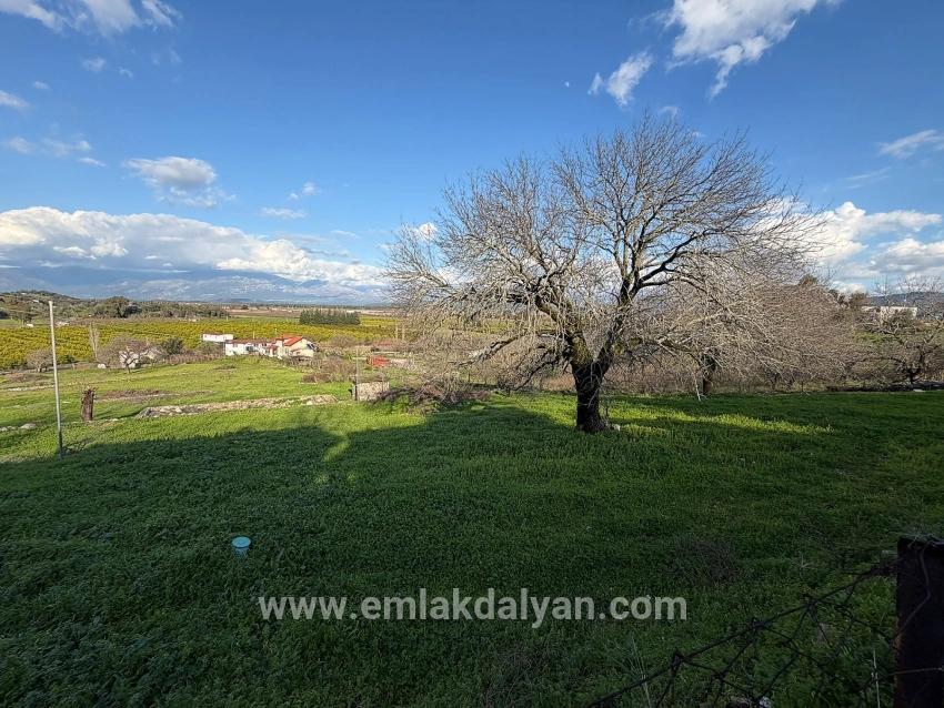 Feld Zu verkaufen in Dalyan Bz. Ortaca - Feld-Zonierung - 11.230 m²