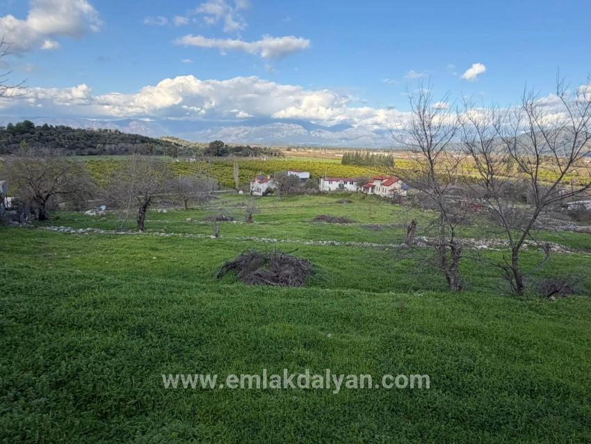 Feld Zu verkaufen in Dalyan Bz. Ortaca - Feld-Zonierung - 11.230 m²