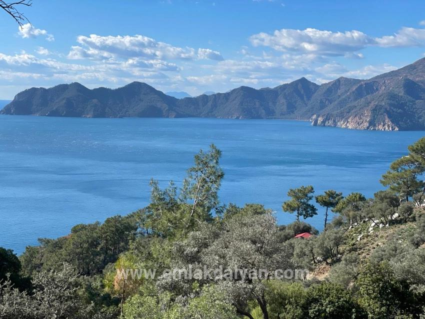 Feld Zu verkaufen in Çandır Bz. Köyceğiz - Feld-Zonierung - 20.000 m²