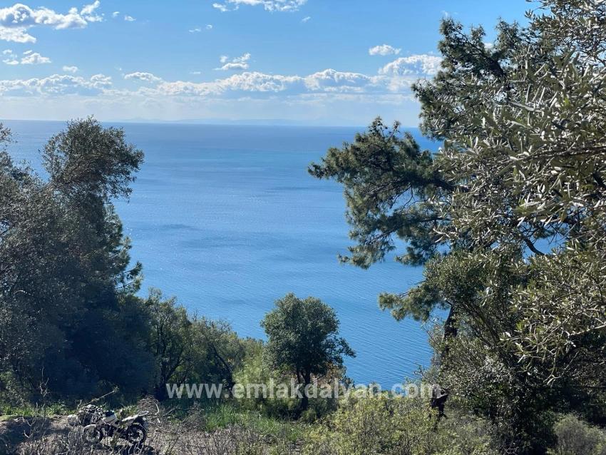 Feld Zu verkaufen in Çandır Bz. Köyceğiz - Feld-Zonierung - 20.000 m²
