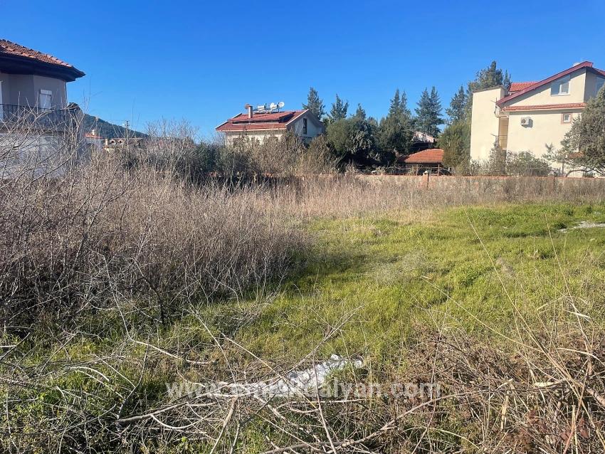 Land Zu verkaufen in Dalyan Bz. Ortaca - Gehäuse-Zonierung - 1.000 m²