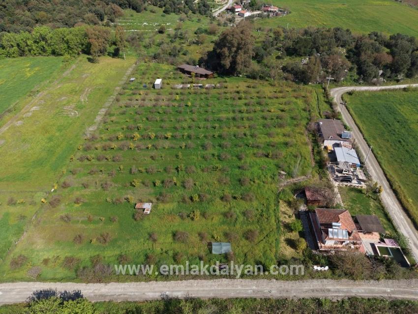 Tourismusorientiertes Unternehmen Auf Einem 11.000 M² Großen Grundstück In Eskiköy Zu Verkaufen.