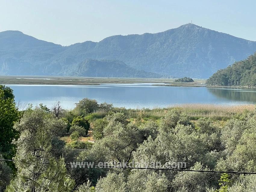 Feld Zu verkaufen in Çandır Bz. Köyceğiz - Feld-Zonierung - 1.252 m²