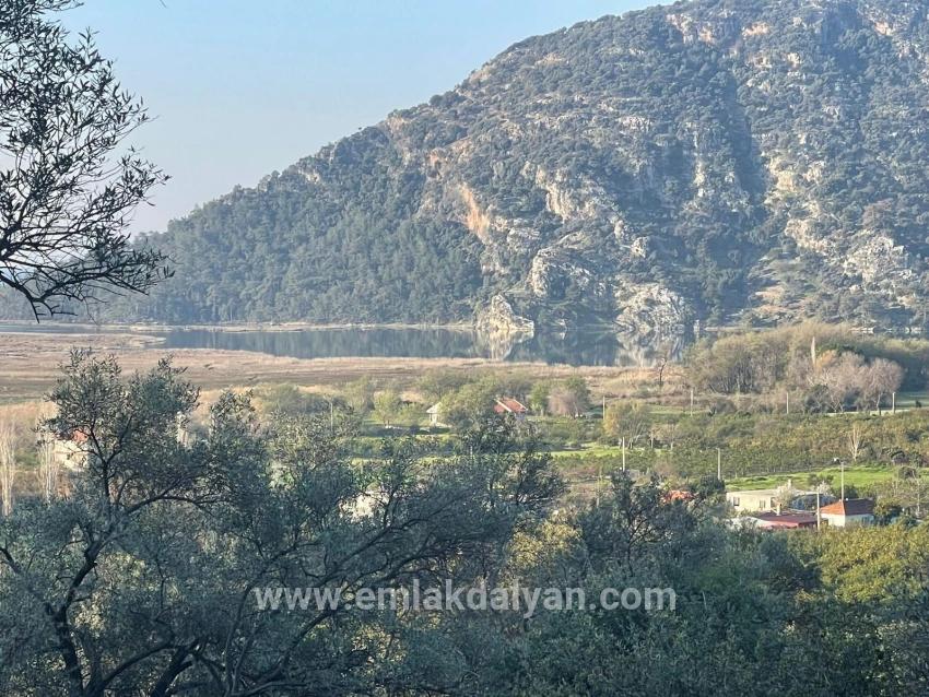 Feld Zu verkaufen in Çandır Bz. Köyceğiz - Feld-Zonierung - 1.252 m²