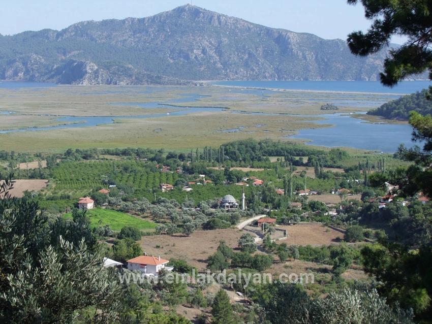 Feld Zu verkaufen in Çandır Bz. Köyceğiz - Feld-Zonierung - 1.252 m²