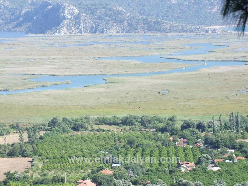 Feld Zu verkaufen in Çandır Bz. Köyceğiz - Feld-Zonierung - 1.252 m²
