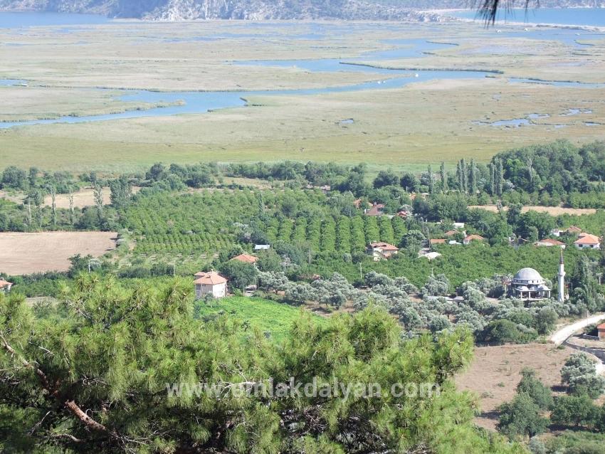 Feld Zu verkaufen in Çandır Bz. Köyceğiz - Feld-Zonierung - 1.252 m²