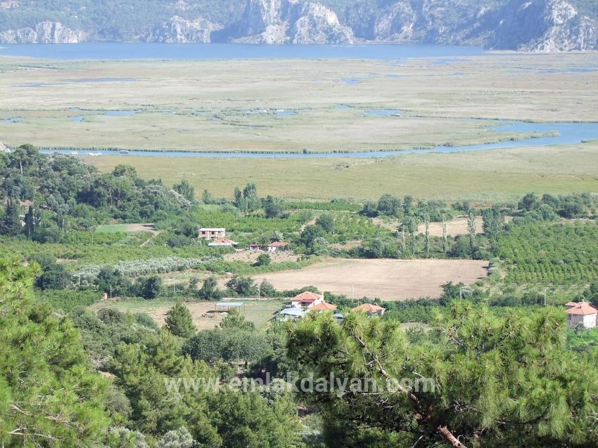 Feld Zu verkaufen in Çandır Bz. Köyceğiz - Feld-Zonierung - 1.252 m²