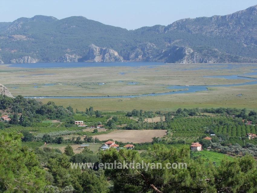 Feld Zu verkaufen in Çandır Bz. Köyceğiz - Feld-Zonierung - 1.252 m²