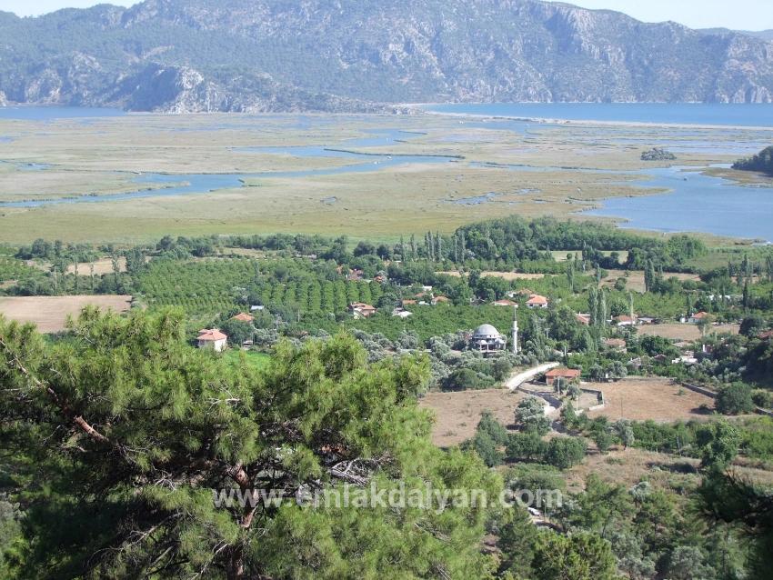 Feld Zu verkaufen in Çandır Bz. Köyceğiz - Feld-Zonierung - 1.252 m²